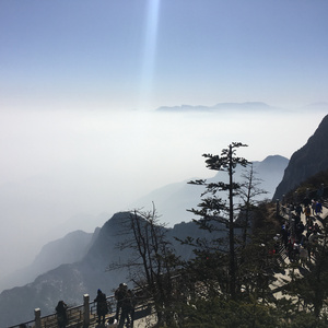 男女上色床大片免费视频APP
