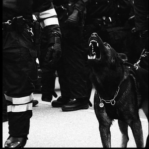 男女上色床大片免费视频APP
