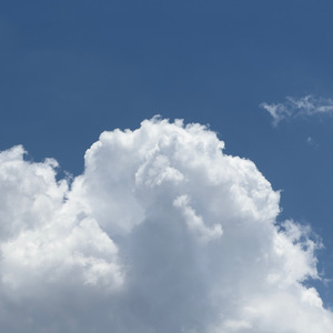 男女上色床大片免费视频APP
